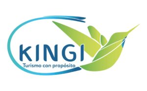 logo-kingi